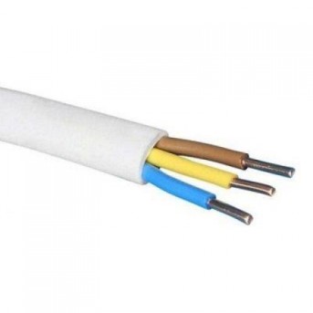 ������ �����