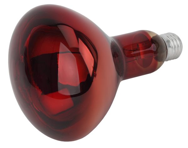 �����-���������������