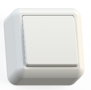 ������ �����