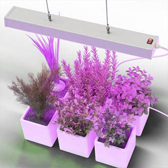 ����� ��� ��������