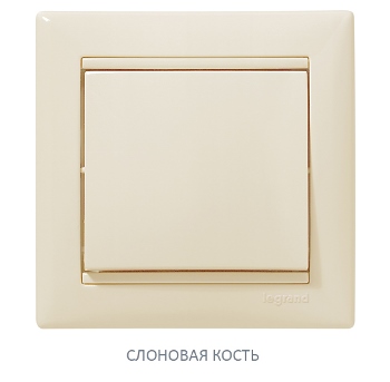 ���� �������� �����